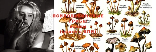 марки lsd Балабаново